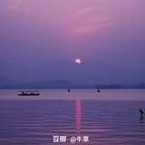 陈，，78973