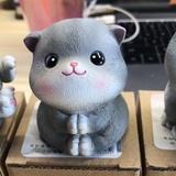 吸猫体质