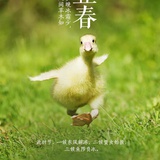 哼哼唧唧
