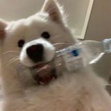 818