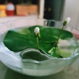 丑丑家的潇洒姐