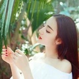 毛里求斯的虎鲸·