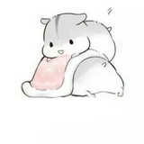 明智羊