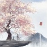 ～浅兮怅流年～