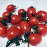 豆友212378756