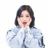 莰蒂斯-