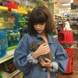 语落惊休