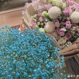 叛逆的小女人
