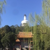 四六风轻