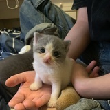豆友212426812