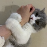 吃瓜小朋友