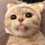 光怪陆离