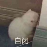 爬墙专用