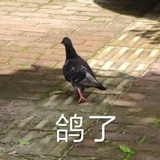 圈椅