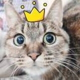 十月🐱