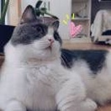 南风知意