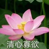 仙豆停滞