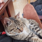 福报