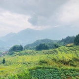 泡泡