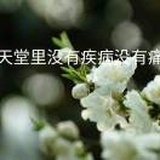 一二三木头人