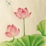 落花无痕