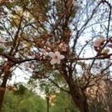 指尖的温柔