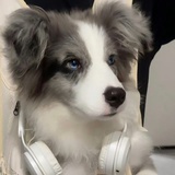 sully_lia