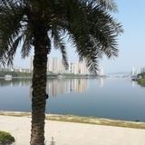 海212670687
