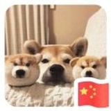 三秒之鱼