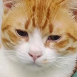 豆友212727723
