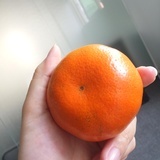 天道酬勤