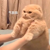 叽里呱啦