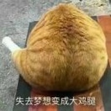 枫洽
