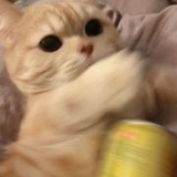 吴邪