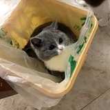 吴特么