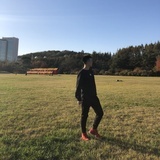 出现又离开
