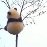 我是小佣兵