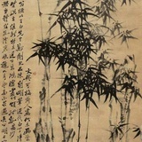 bamboo竹
