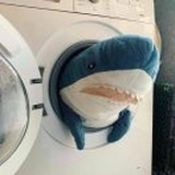 伯牙