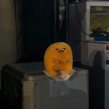 证婚人