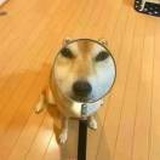 你咋不上天