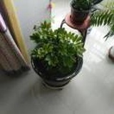 珍惜缘份
