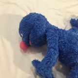 红鲤鱼绿泡泡