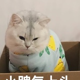 馒头0729