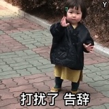 味道柠檬11