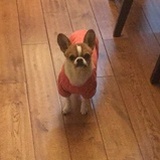 这瓜真香啊