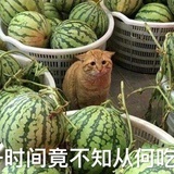 上天啦