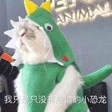 兔头猪的铲屎官