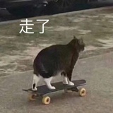瓜田里的猹渣