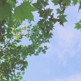 岁见